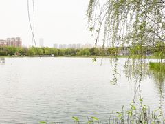 -武汉园博园(武汉自然博物馆)