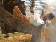 -龙猫仔乐园(惠福东路店)