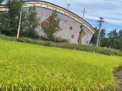 -北坞公园