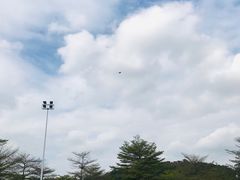 -BreadTalk面包新语·烘焙蛋糕(中心书城店)