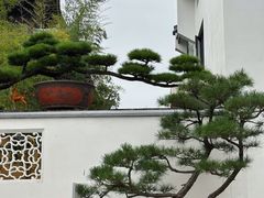 -龙华寺