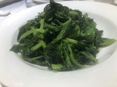 酒香豆苗-老吉士(环贸iapm店)