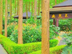 -泗洪洪泽湖湿地景区