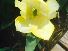 -长春公园(普阳街道)