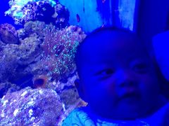 -多彩贵州城极地海洋世界