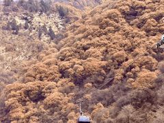 -少华山国家森林公园