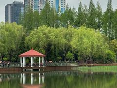 -新虹桥中心花园