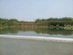 android_upload_pic-云龙湖旅游景区