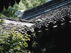 -黎里古镇