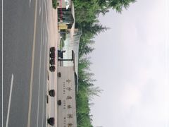 -金沙遗址博物馆