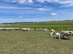 -塞罕坝国家级自然保护区