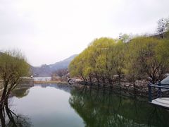 -天源渔港农庄