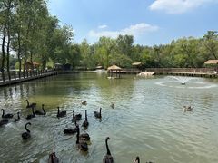 -溱湖国家湿地公园