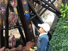 -呀路古热带植物园
