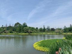 -桤木河湿地公园