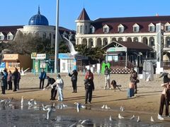 -老虎石海上公园