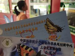 -上海昆虫博物馆