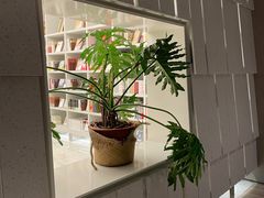 -二酉书店TOYOU BOOKS