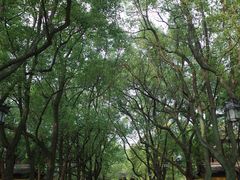 -西园戒幢律寺