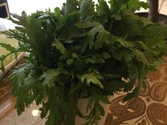 茼蒿-老三羊汤【北兴隆街店】