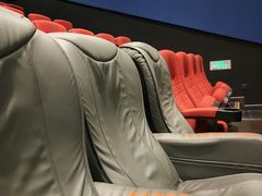 -万达影城(闵行颛桥万达广场杜比影院店)