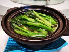 山泉水浸菜心-广州酒家(昌岗地铁站店)