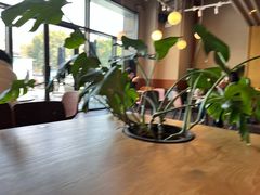 -Wagas沃歌斯(汇智店)