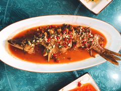 -煲来饱去冷水鱼