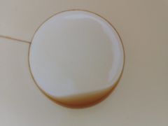 -WATER CAFE(广厦店)