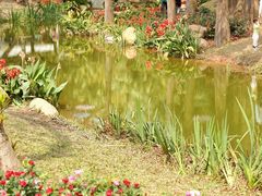 -人民公园(罗湖区)