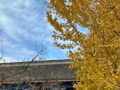 -北京石刻艺术博物馆(五塔寺)
