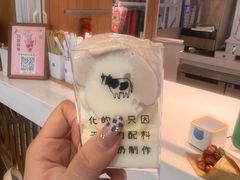 -兰熊鲜奶(西直门凯德mall店)