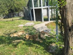 -西安秦岭野生动物园