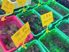 -众味海鲜大排档·活海鲜·潮汕味(南澳店)