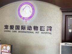 -宠爱国际动物医院·疑难骨科·心肾内科·皮肤科(太阳宫店)
