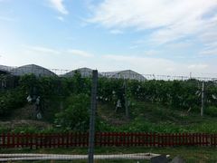 android_upload_pic-美家乐农庄·露营·团建(大治路店)