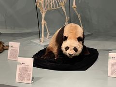 -国家自然博物馆