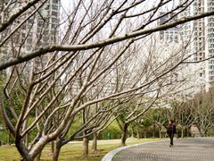 -苏州河梦清园环保主题公园