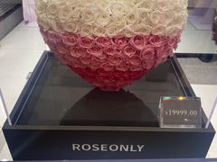 -ROSEONLY诺誓(广州K11店)