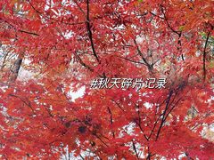 -沈阳植物园