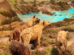 -陕西自然博物馆