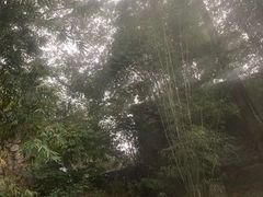 景点-三江森林温泉度假区