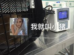 打点滴中的猫猫-美联众合动物医院·24h京西诊疗中心