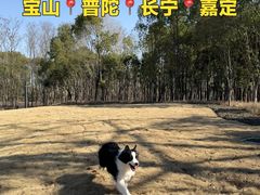 -上海山野camping·户外天幕烧烤·团建拓展营地