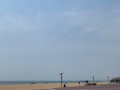 -八沟羊汤(河北大街店)