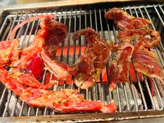 -丹东特色烤肉(学府路一部店)