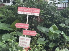 -火炉山森林公园
