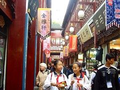 -金山农民画村-枫泾波兰倒置屋