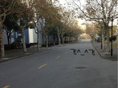 -复旦大学(张江校区)