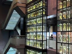 -广东中医药博物馆